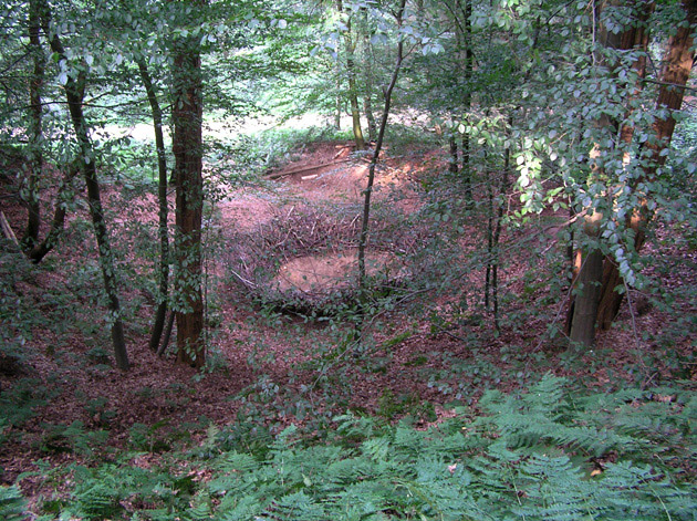 andreas hetfeld - nest 4 - zentrum der erleuchtung