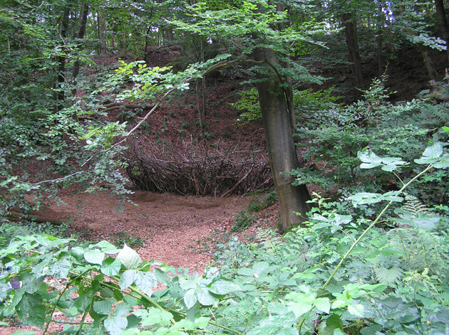 andreas hetfeld - nest 4 - zentrum der erleuchtung