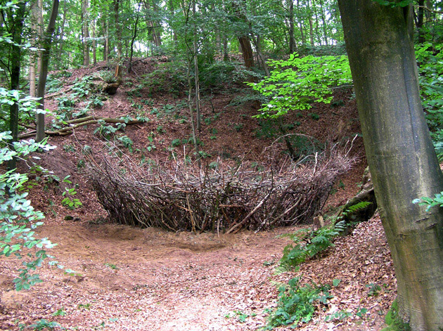 andreas hetfeld - nest 4 - zentrum der erleuchtung